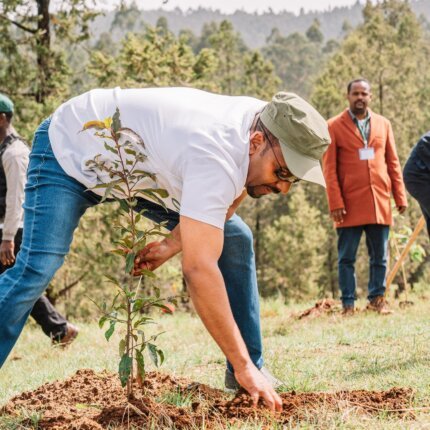 Addis Ababa’s Green Legacy Initiative
